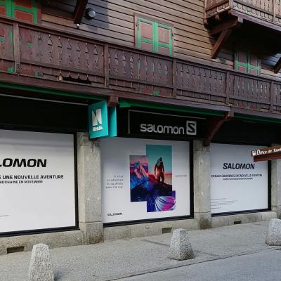 Salomon2